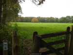 Eik in de Duivelshof